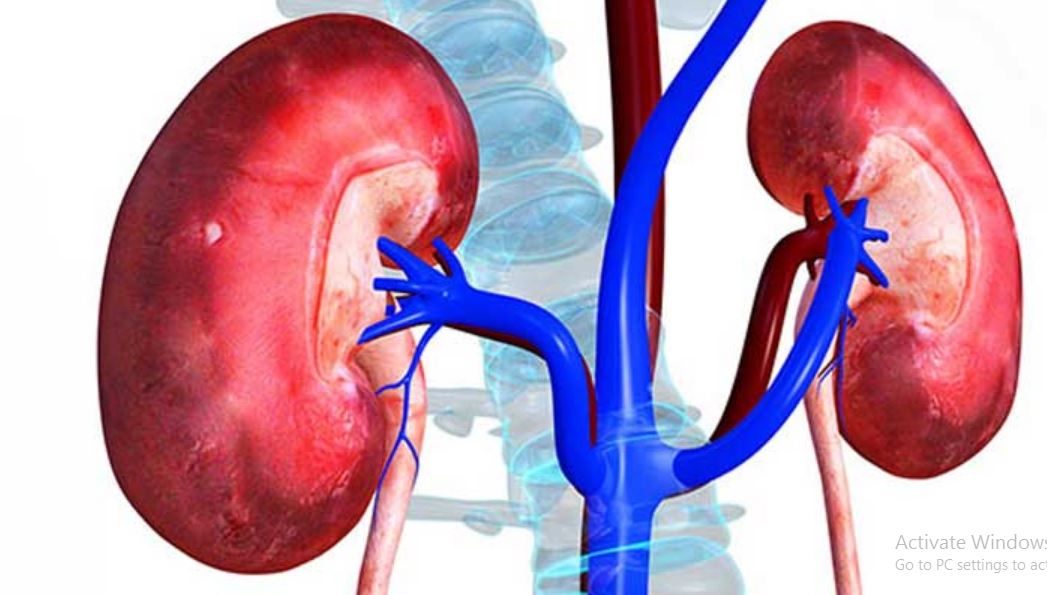 मिर्गौलापीडितको सहयोग याचना